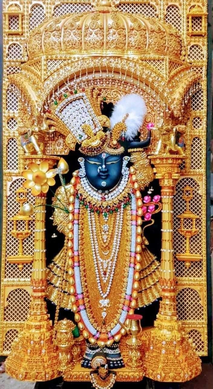 Shrinathji darshan